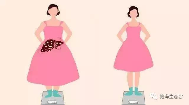 帕玛谷阿育吠陀基地,帕玛生态谷是什么