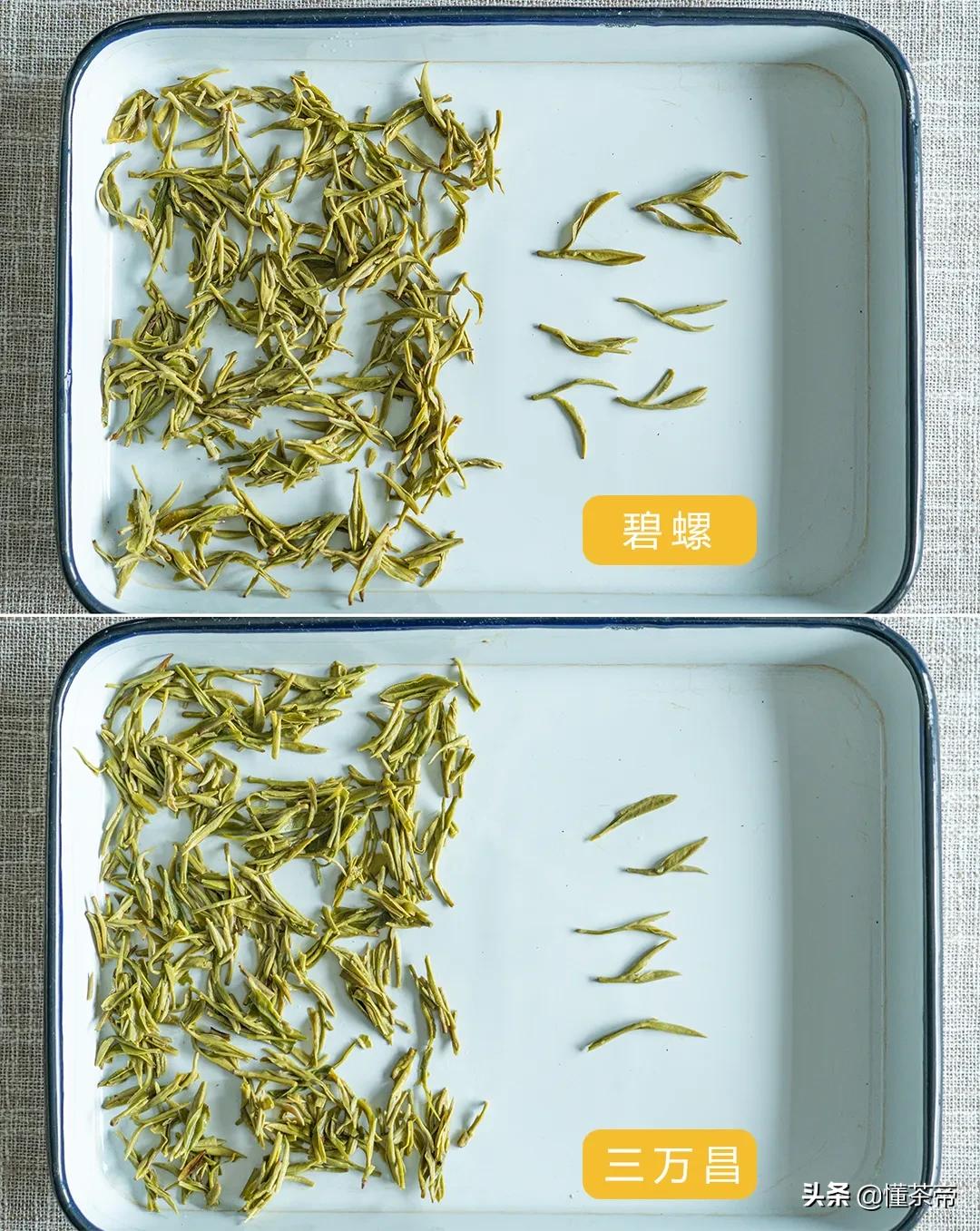 三万昌和碧螺牌哪个碧螺春好喝,三万昌和碧螺牌哪个更有性价比