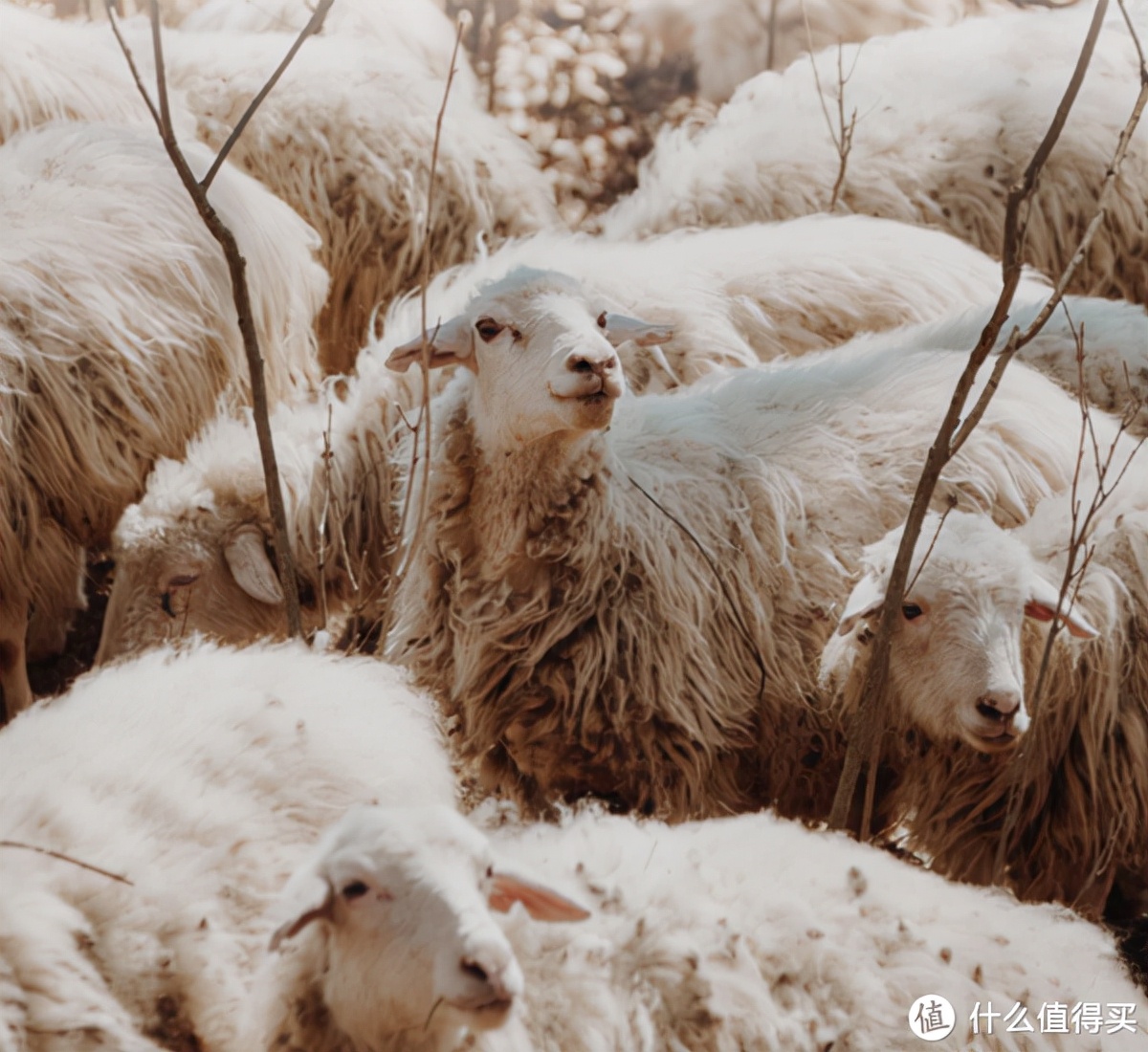 10家私藏品质女装好店,长毛衣闺蜜装店铺推荐