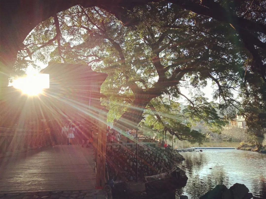 上海到福建自驾游旅游攻略,福建旅游攻略自驾游景点