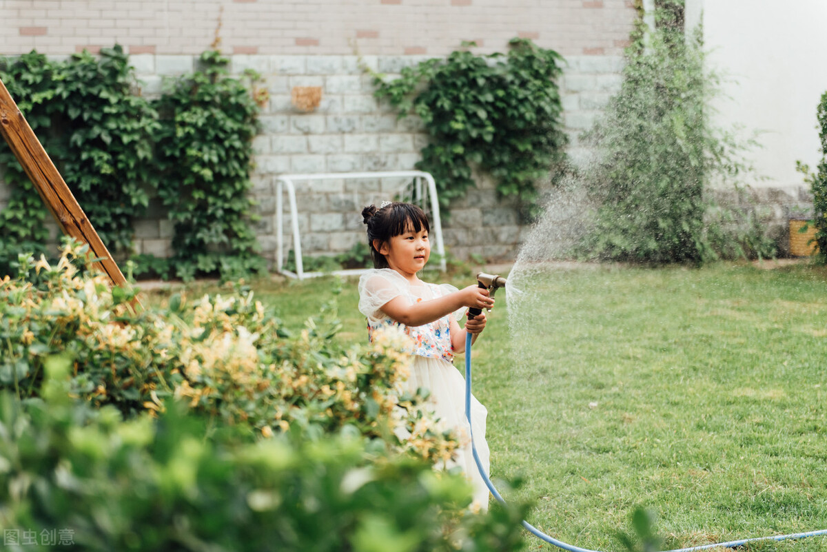 图形的旋转幼儿园科学教案反思,幼儿园科学各种各样的种子教案
