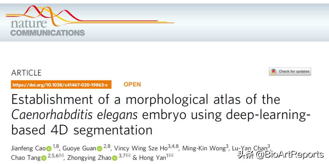 NatCommu|线虫胚胎发育的四维形态学图谱