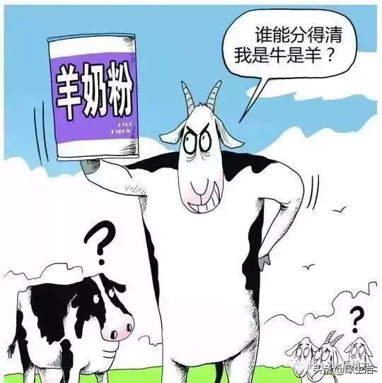 初生婴儿喝羊奶粉好还是牛奶粉好,婴幼儿奶粉羊奶粉好还是牛奶粉好