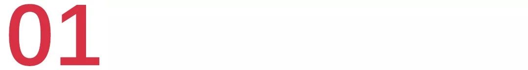 新瑞鹏深度分析,新瑞鹏和佳雯