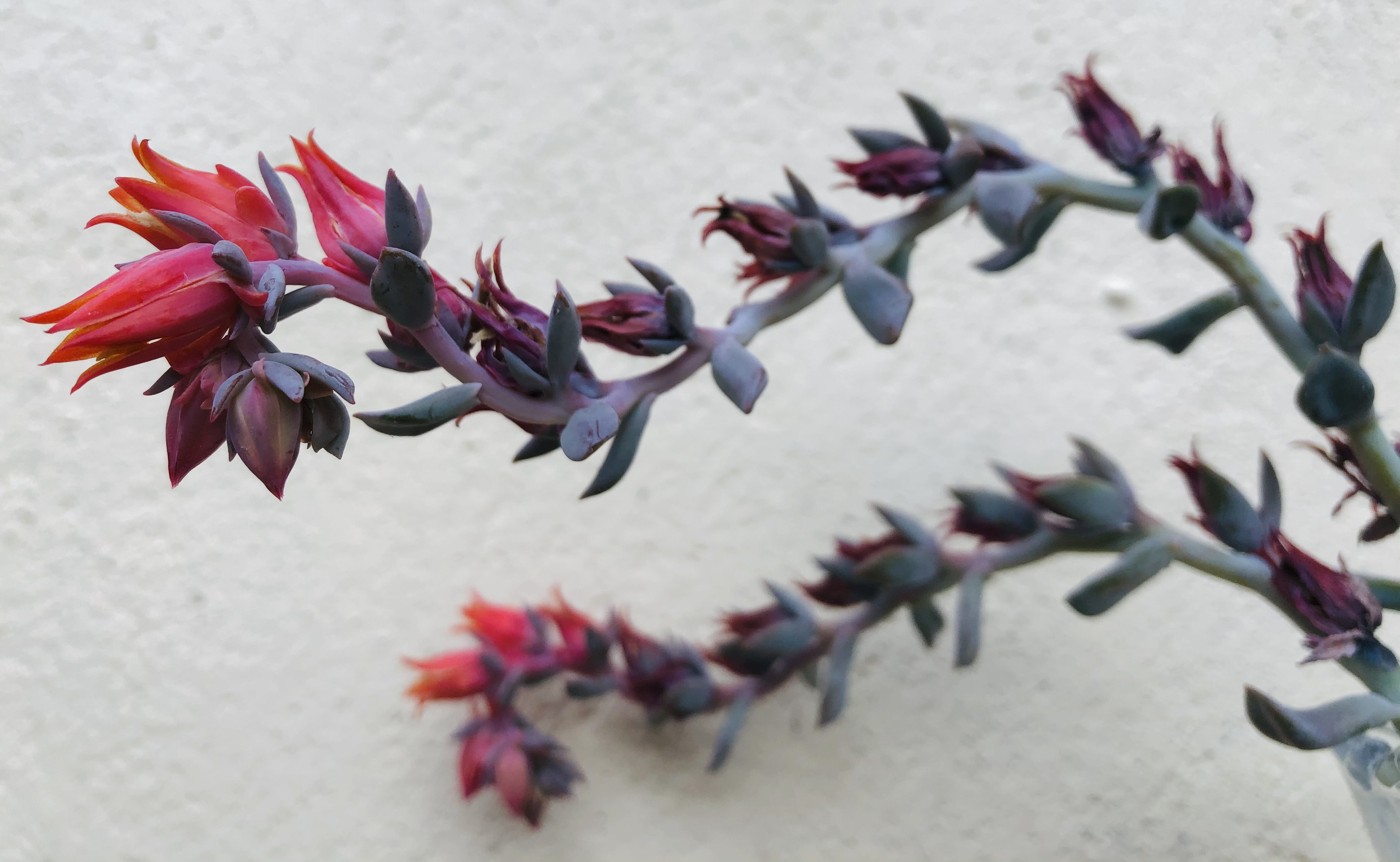 私募基金的管理者都是怎么操盘的,操盘手如何管理自己的业绩