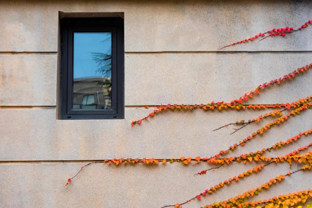 醉美大工秋|读书不觉已秋深，____________