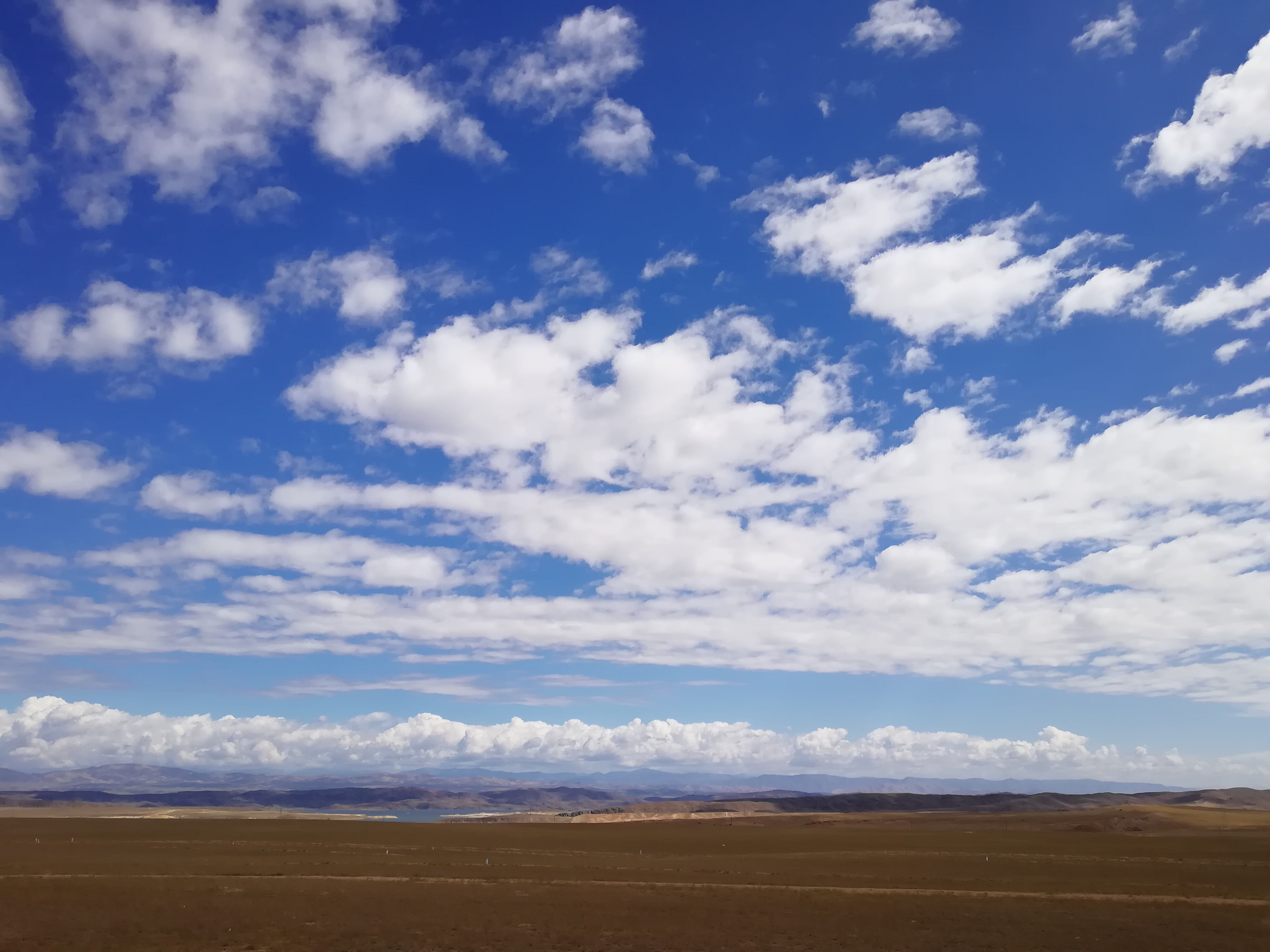 带狗自驾新疆注意事项,想带狗狗去新疆