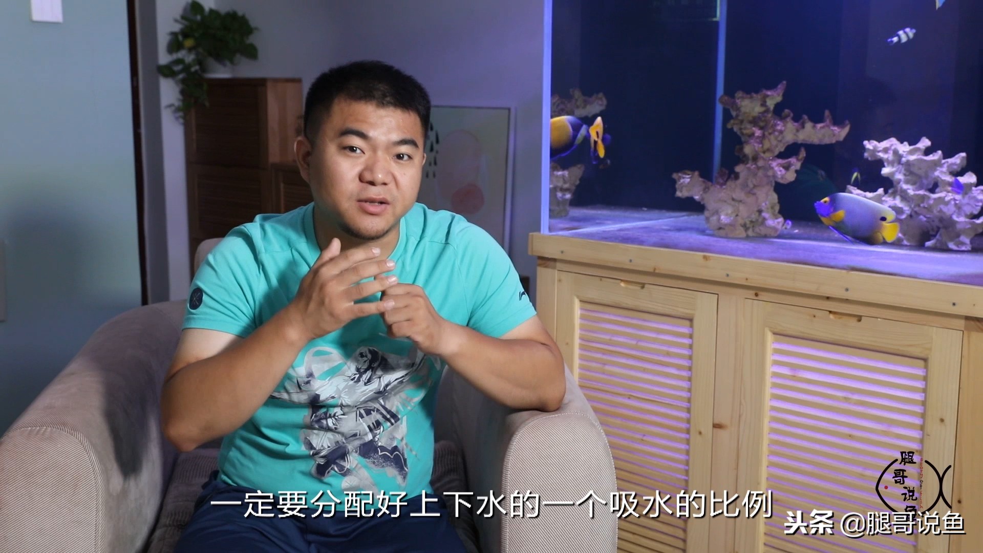 除油膜面巾纸,养鱼小技巧观赏鱼