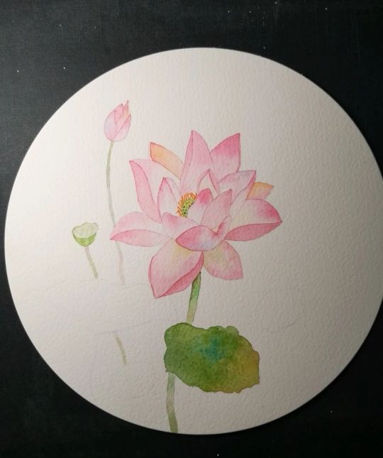 荷花的4种画法,最简单的荷花画法一学就会