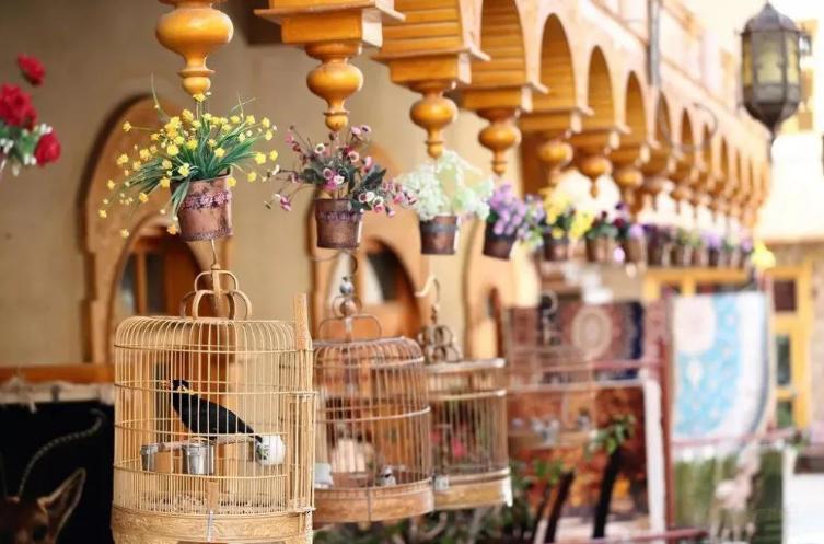 和田降水量,和田自然风景优美的地方