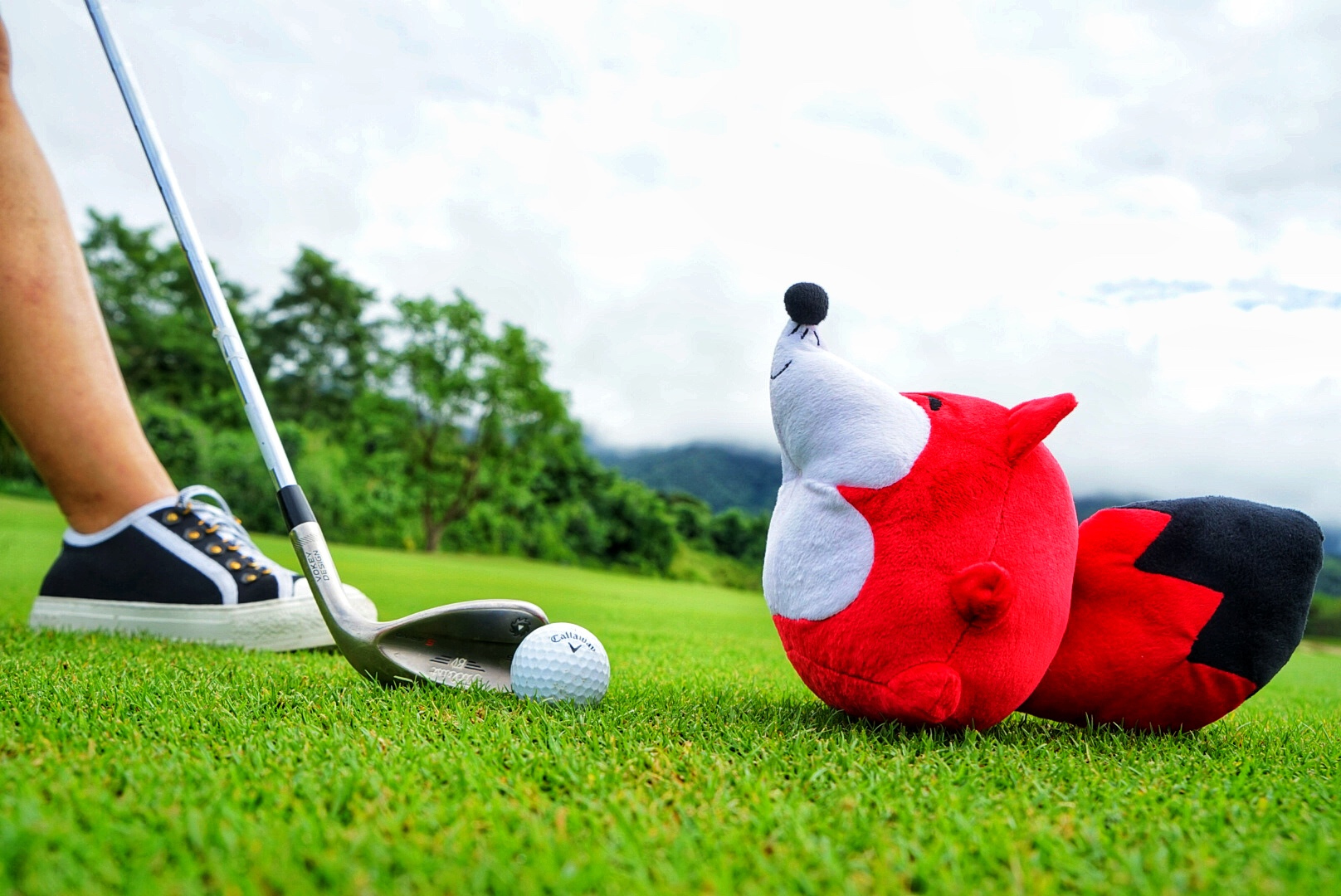 神奇泰国游,清迈古城温暖的风景