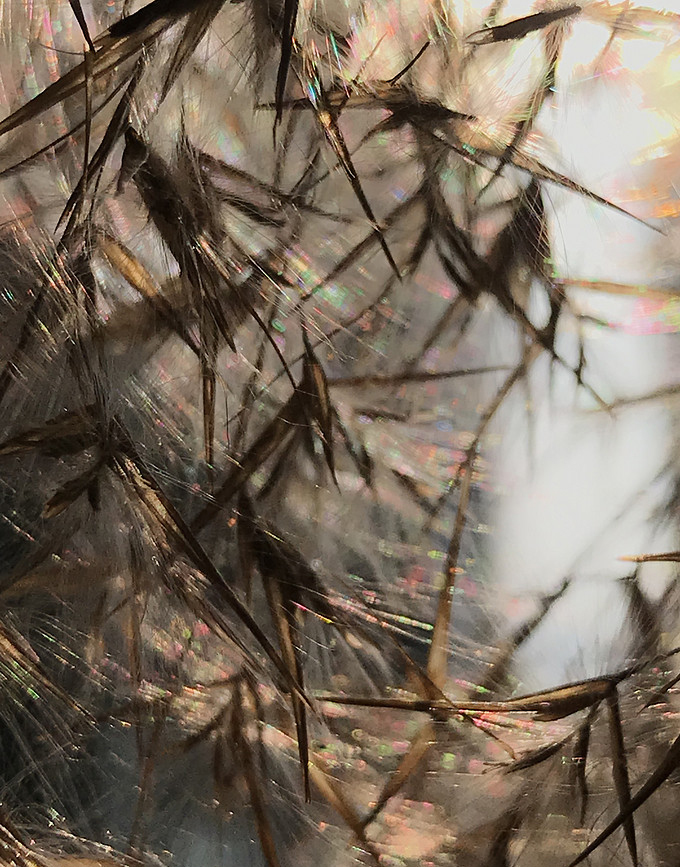 苹果手机什么第三方摄影软件好用,iphone最好用的摄影软件