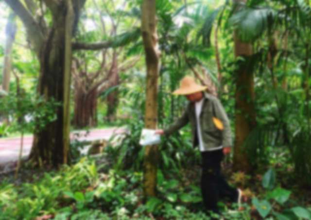 香港一博士生因撒盐杀死蜗牛被捕,撒盐杀死蜗牛被捕后续