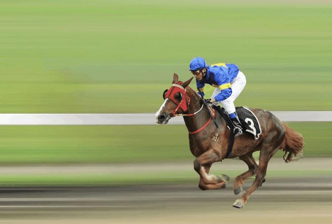 俗话说：“驴肉香马肉臭”，为什么没人吃马肉？难吃只是原因之一