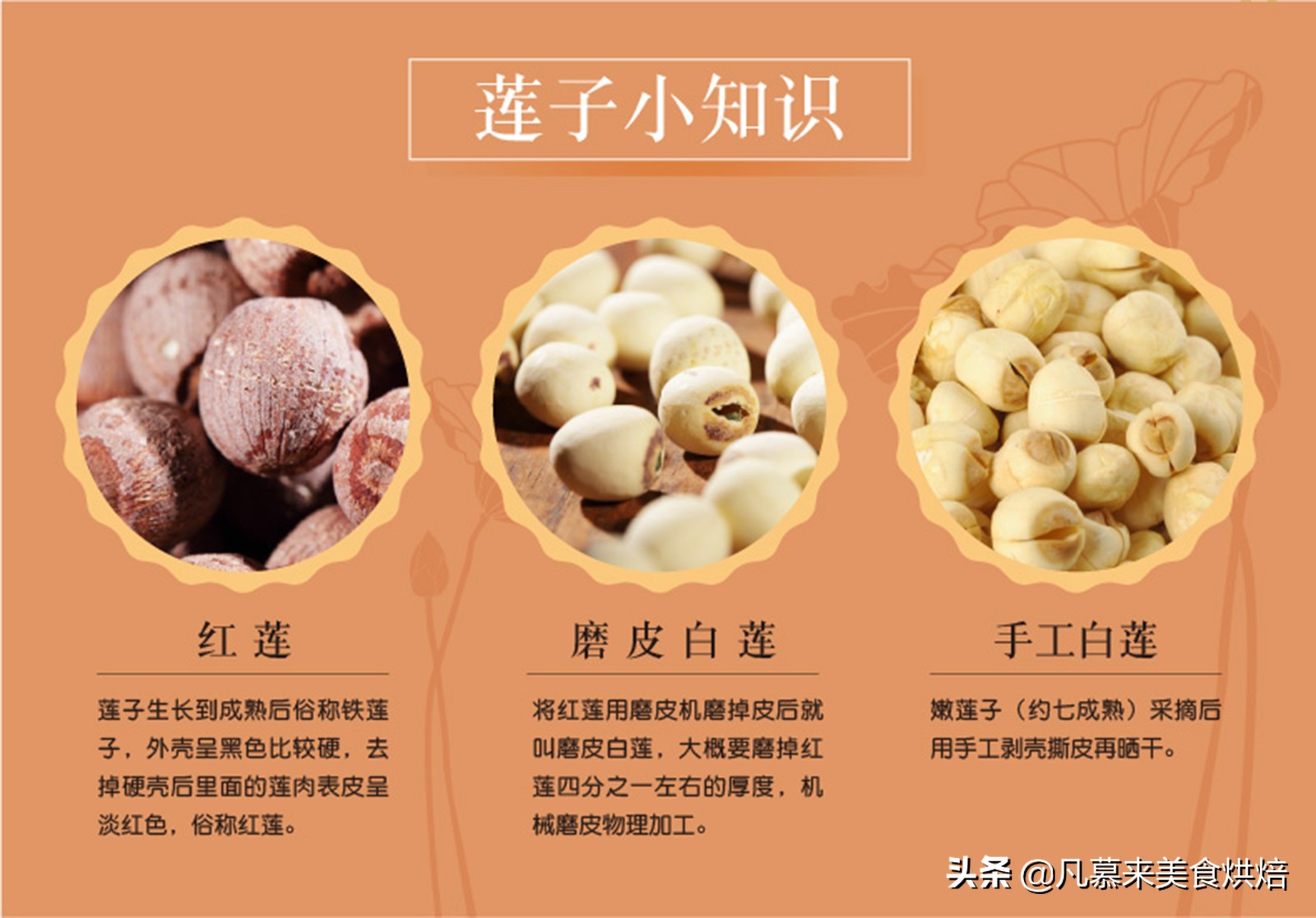 每日坚果八种营养坚果搭配,坚果类大全