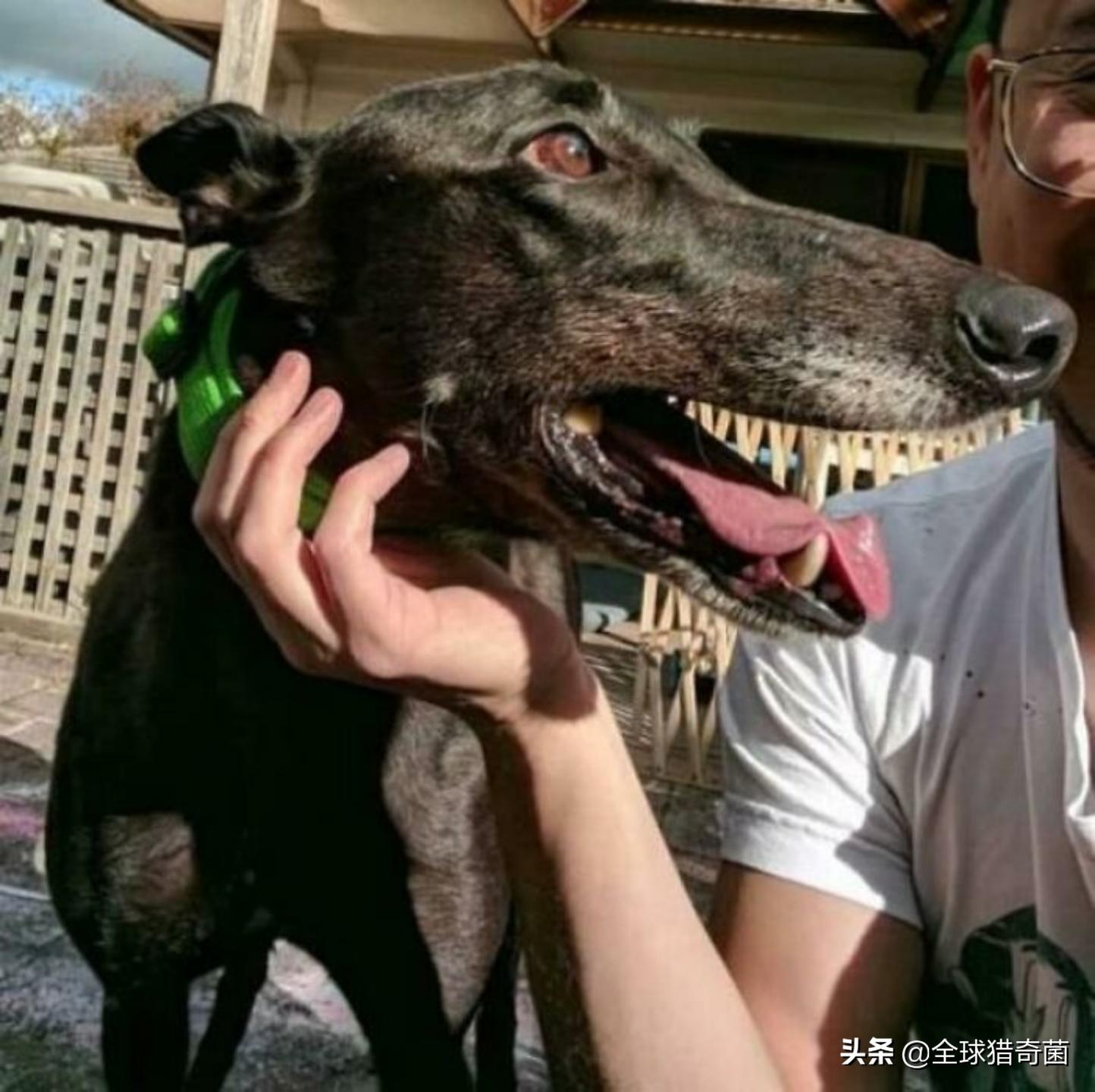 44张难以置信的图片,45张令人难以置信的图