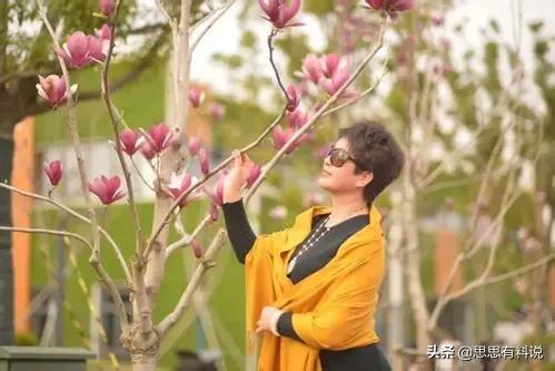 韩国大妈传统发型,韩国大妈和中国大妈的发型的区别