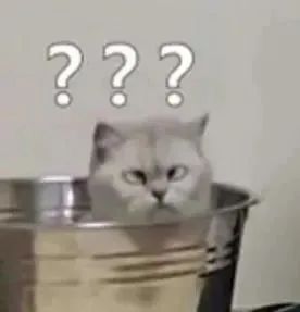 体育性感魅力（来自玩机鸭）