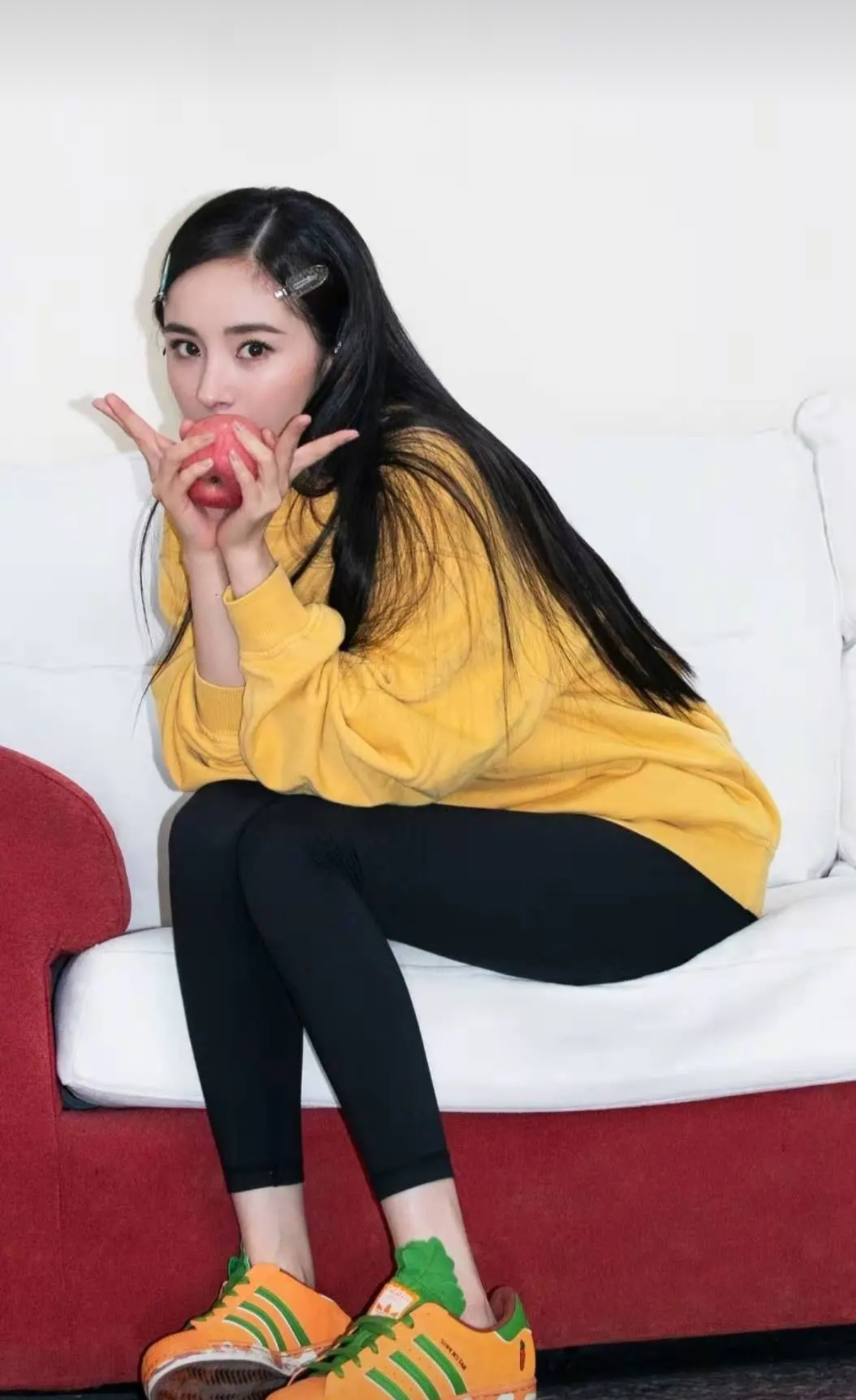 必不可少的鲨鱼裤,明星鲨鱼裤