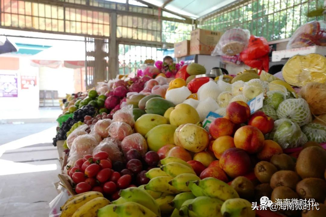 海南大学啥时候开学,海南大学研究生开学