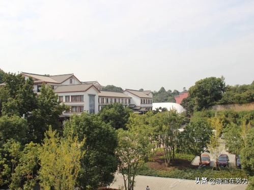 浙江杭州十大酒店,杭州五星级酒店价格一览表