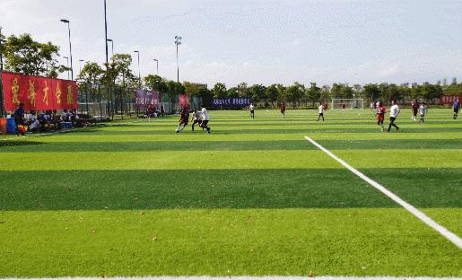 厦甲足球比赛,厦甲足球联赛