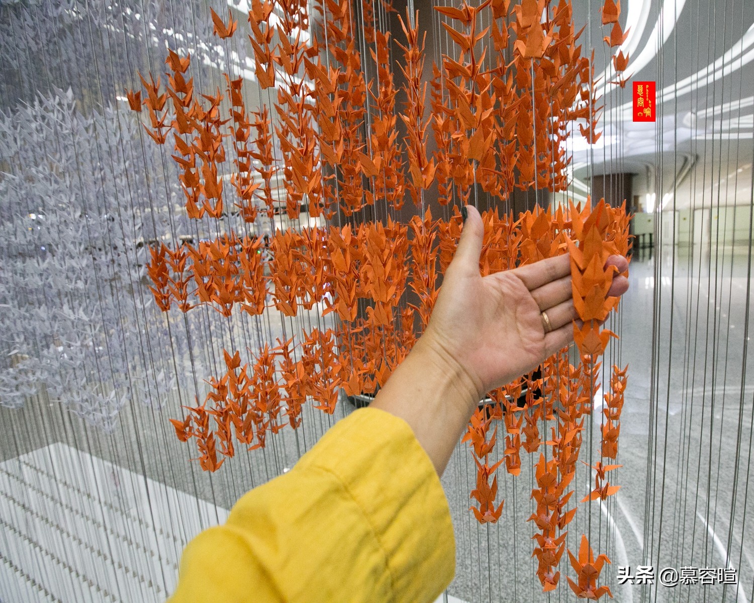 从草桥到大兴国际机场,从草桥到大兴机场多少钱