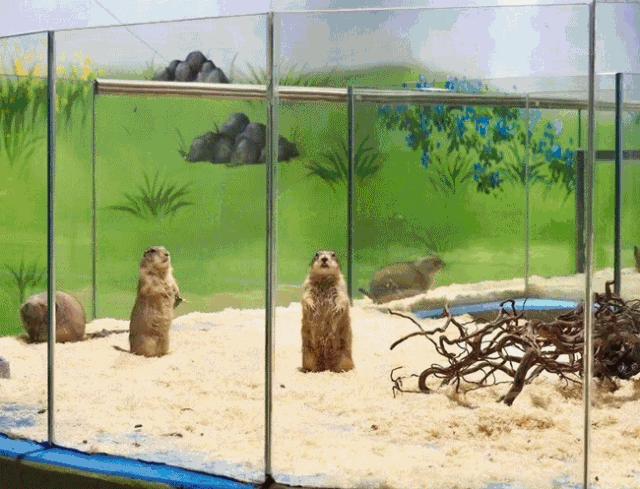 深圳暑假值得带孩子旅游的地方,深圳十大暑假室内必去景点