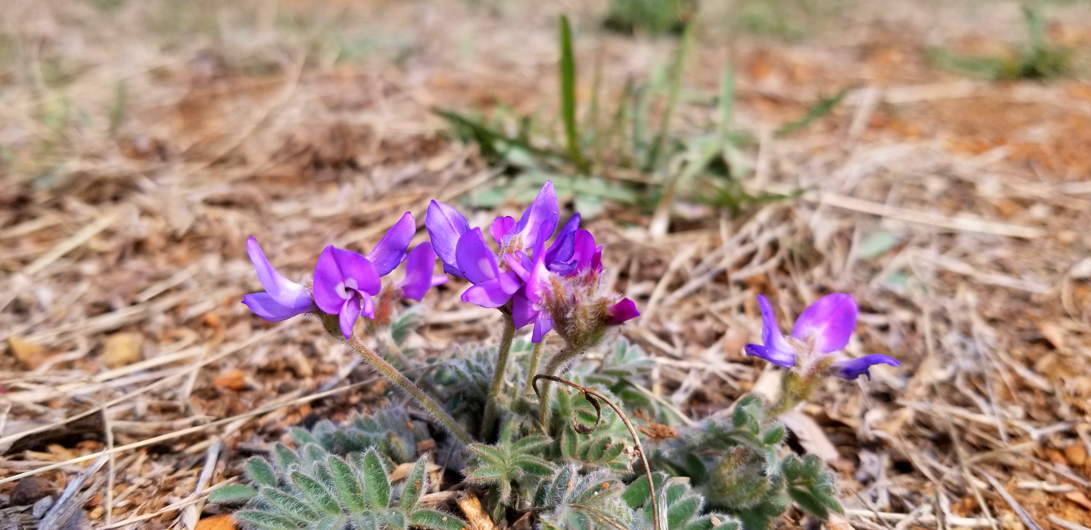 景美人少公园,景美人少适合去哪里旅游