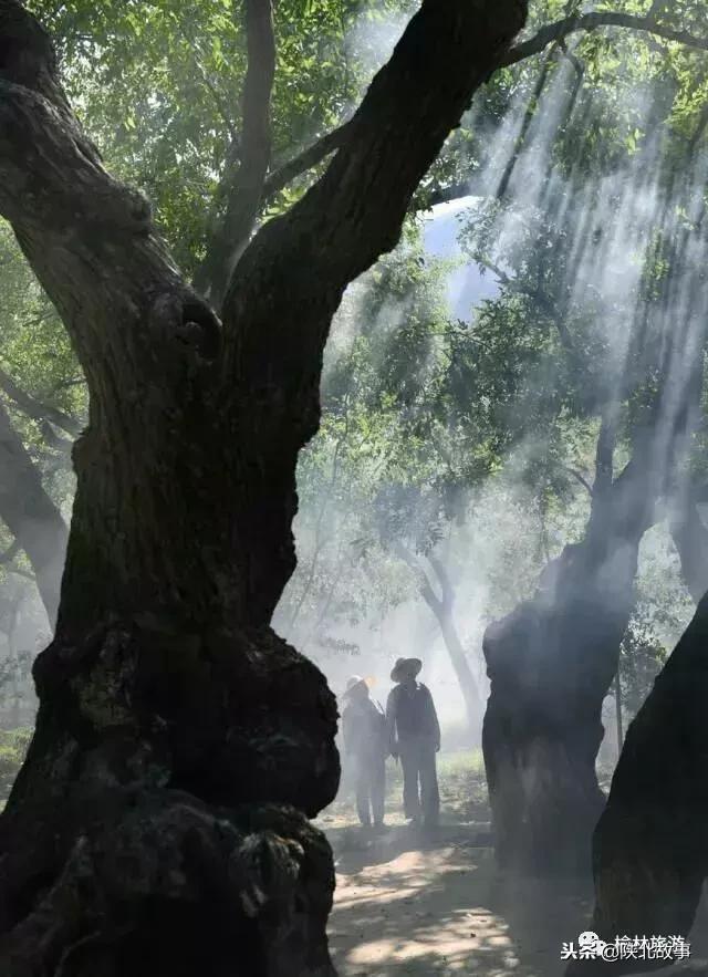 榆林有哪些网红打卡点,11月榆林适合去的网红打卡地
