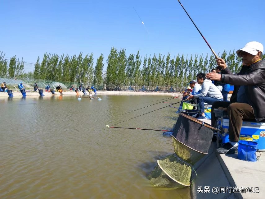 小体草鱼,钓草鱼中鱼率高冬季钓草鱼技巧