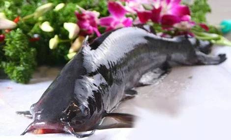 市场监管总局食品不合格通告,市场监管总局公布食品安全不合格