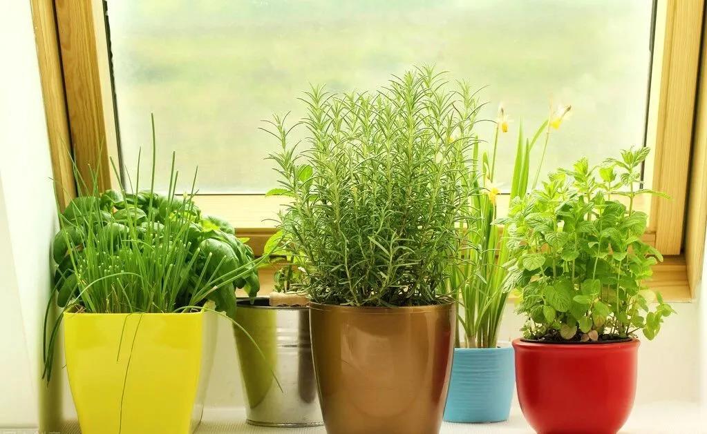 皮肤干燥暗沉长痘闭口,脸上的三角区老是长痘起干皮