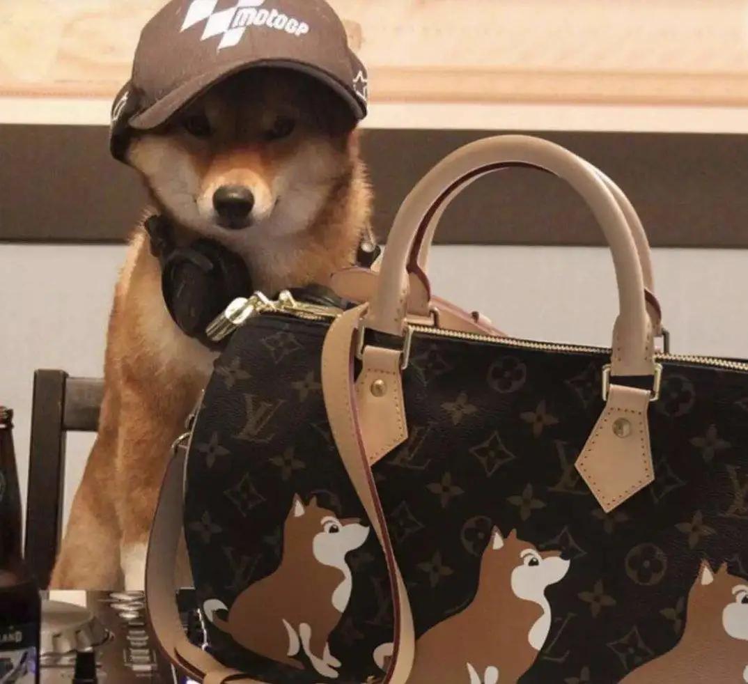 女子收到两个同款lv包,收到lv包包后遇到诈骗