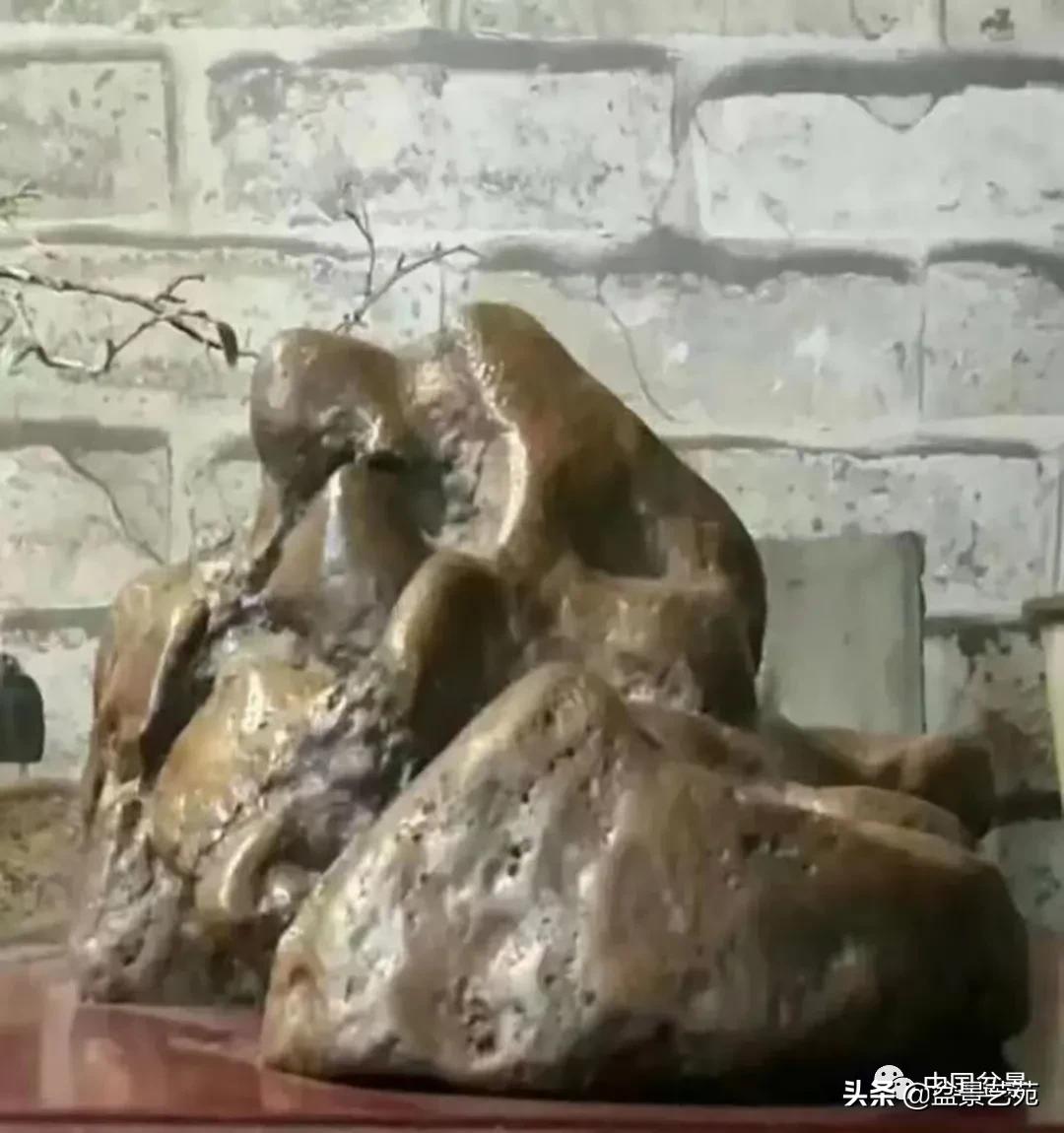 老树桩的造形特征有哪些,论述树桩盆景主要流派的艺术特点