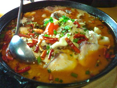 喜欢吃鱼的朋友请收藏,强烈推荐喜欢吃鱼的朋友