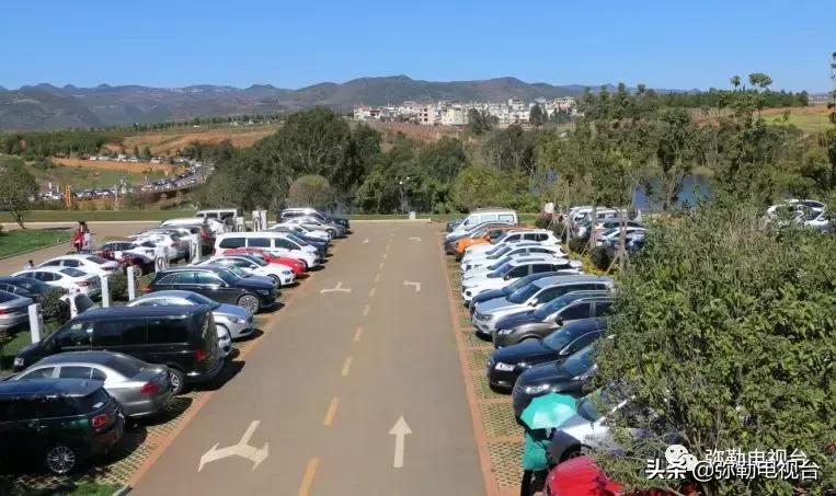 太热闹!弥勒花海、人海、车海、舞海...这些人上镜了!