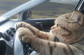 讲真!每个男人体内都住着一位“老司机”