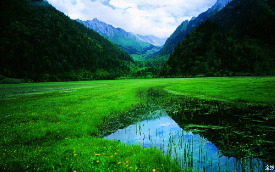 蓦然回首灯火阑珊处下一句,蓦然回首灯火阑珊处12