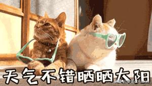 冬天必备好物推荐,十件冬天必备的暖身好物