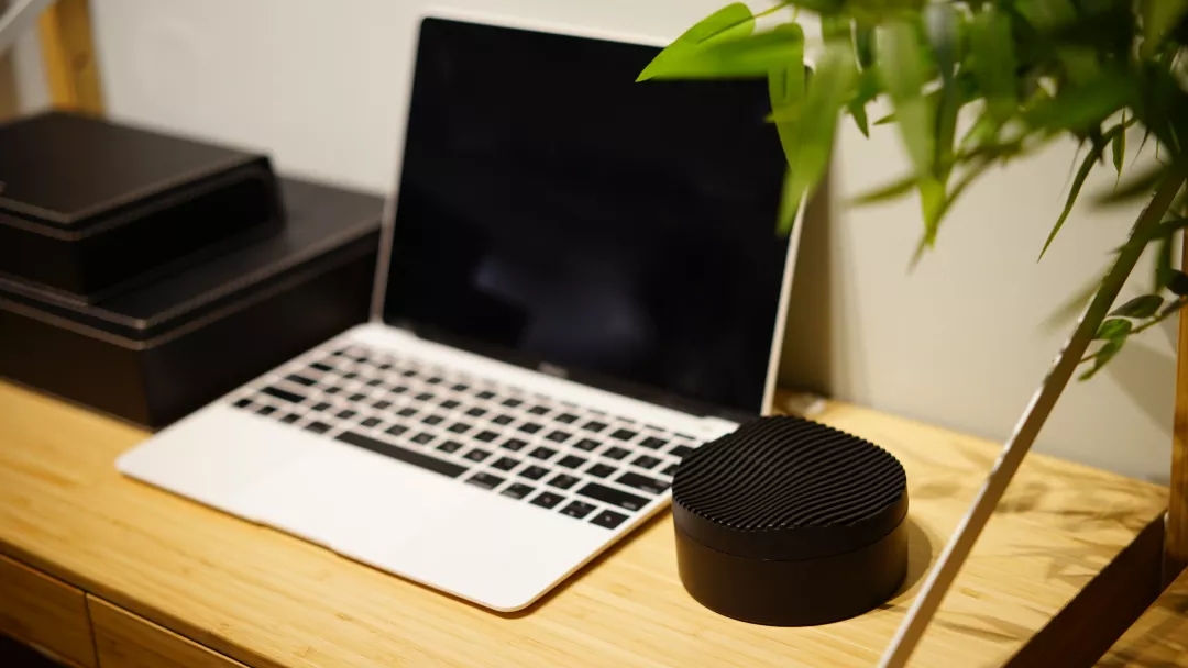 日本人历时50年研制，用“大豆”除甲醛，无毒无害，母婴均可用