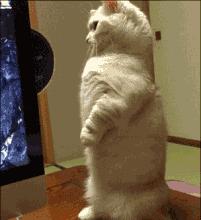 QQ可注销了：注销一串数字=删除整个青春