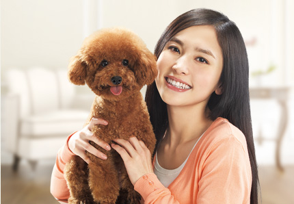 柴犬肠胃不好吃什么狗粮,狗肠胃不好吃什么牌子的狗粮好