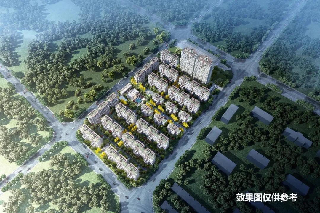 这里是三圣乡，盛产让世界迷恋的“城市多巴胺”