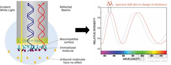 近30亿潜在市场规模，新一代SPR技术检测平台市场研究报告