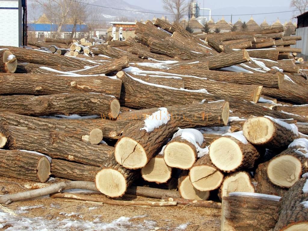 常见木材的种类档次,常见木材的种类简介及图片