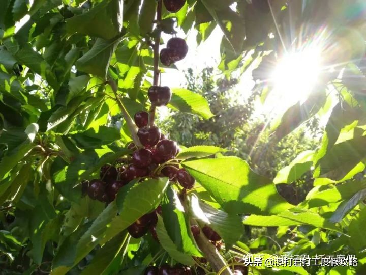 十大最累最赚钱的工作,哪些比较赚钱的工作可以在家做