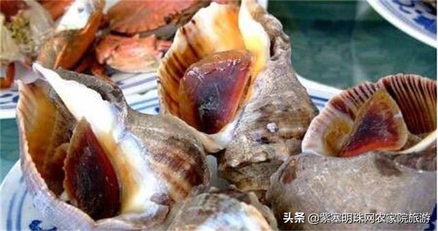 长岛好渔家,长岛当地渔家特色美食餐饮攻略