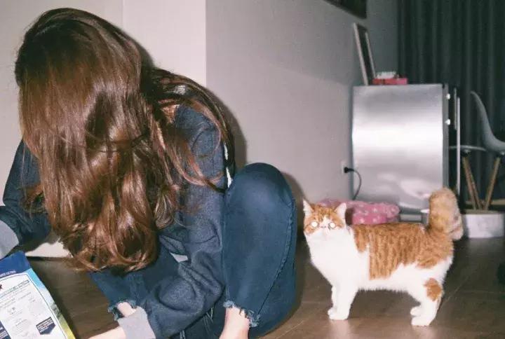 女人圆脸发型和方脸哪个更抗老,适合圆脸方脸女生的发型短发