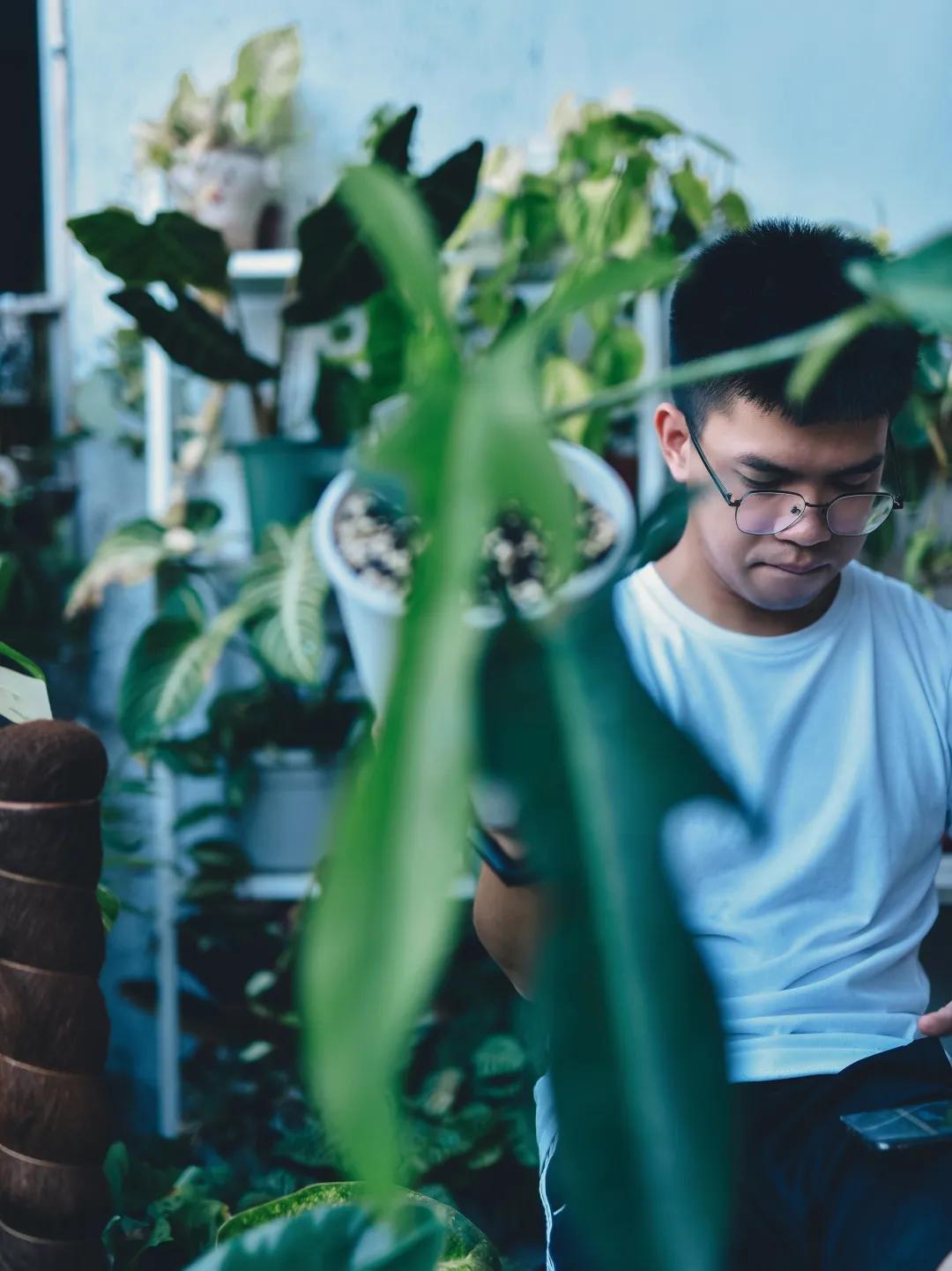 没花园怎么种花？从东北到广东，4位大神在室内种出植物园，绝美